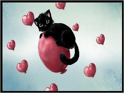 Serca, Kot, Baloniki